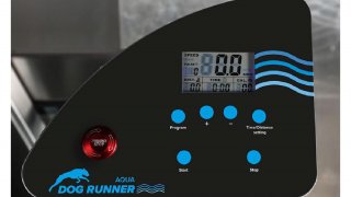 Aqua Runner – Cinta acuática para perros