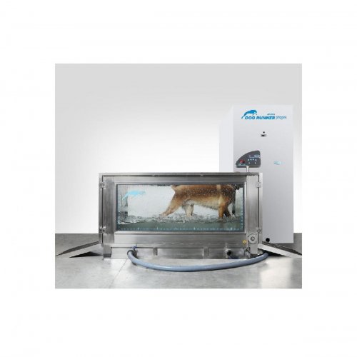 Aqua Runner – Cinta acuática para perros