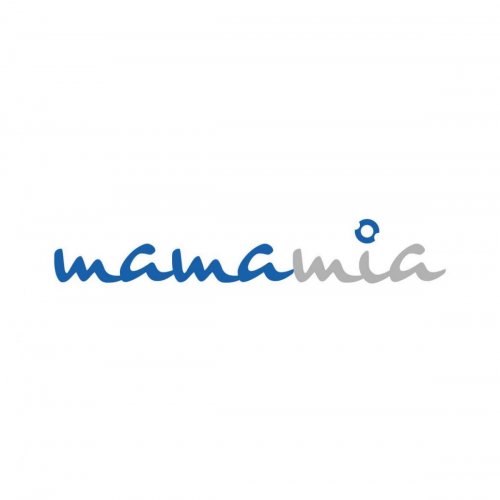 Mamamia – Trochlear Resurfacing System