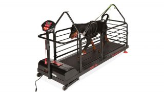 Ortho Pro – Cinta para Perros