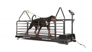 Revolution Pro – Cinta para Perros