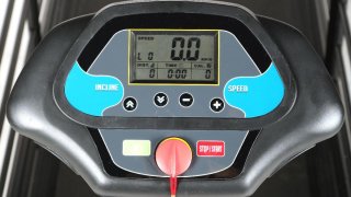 Revolution Pro – Cinta para Perros