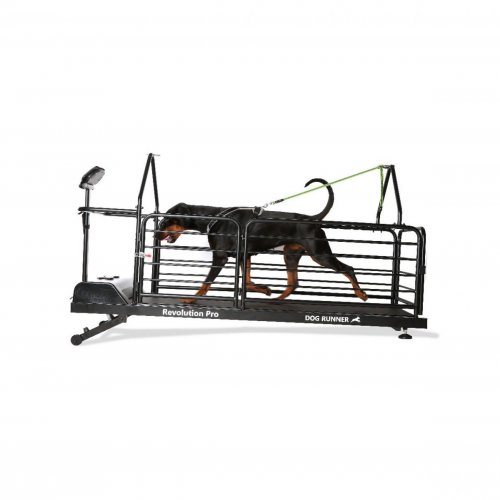 Revolution Pro – Cinta para Perros