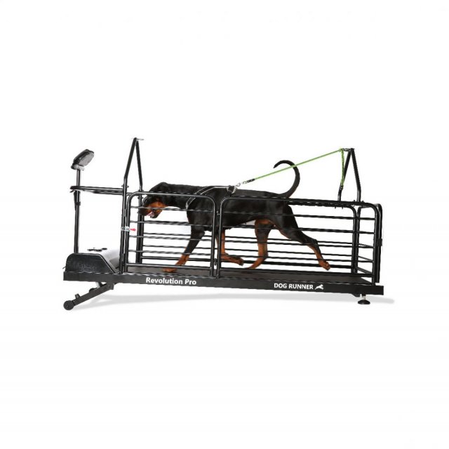 Revolution Pro – Cinta para Perros