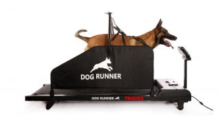 Tracks – Cinta para perros