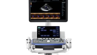 Vetus 7