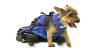 Walkin’ Scooter - Silla de Ruedas para interiores