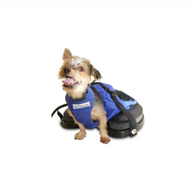 Walkin’ Scooter - Silla de Ruedas para interiores