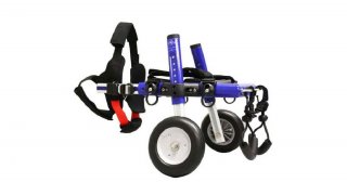 Walkin' Wheels® CAT Silla de ruedas trasera para gatos