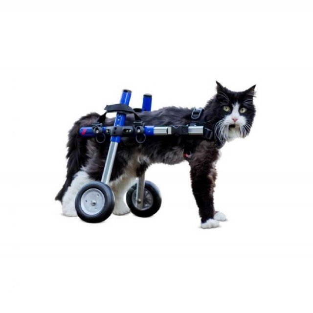 Walkin' Wheels® CAT Silla de ruedas trasera para gatos
