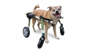 Walkin’ Wheels® Full Support - Silla de ruedas de 4 apoyos