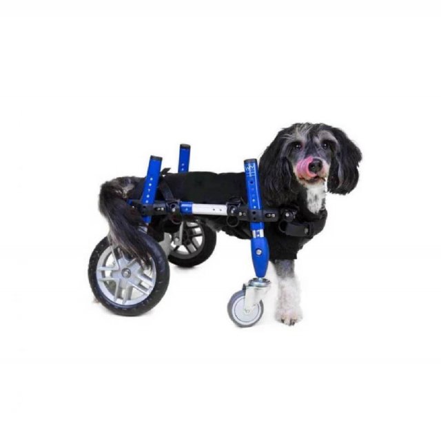 Walkin’ Wheels® Full Support - Silla de ruedas de 4 apoyos