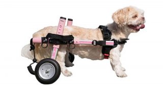 Walkin' Wheels® Trasero - Silla de ruedas trasera para perros