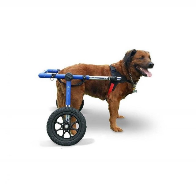 Walkin' Wheels® Trasero - Silla de ruedas trasera para perros